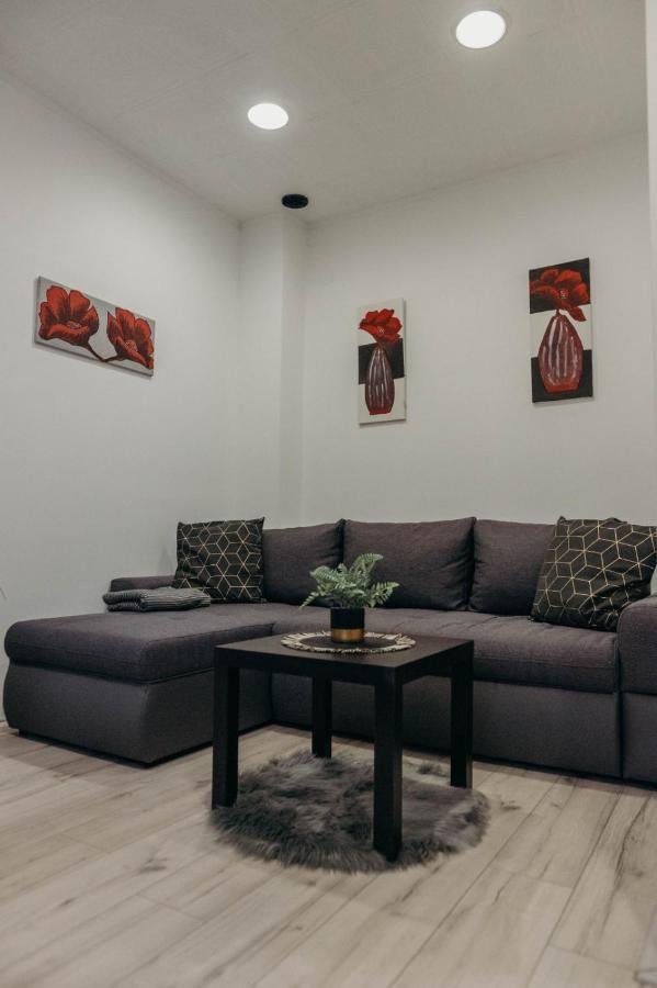 Holy Apartment Ðakovo Екстериор снимка