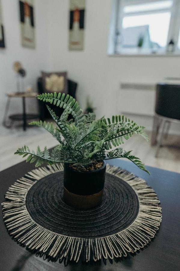 Holy Apartment Ðakovo Екстериор снимка